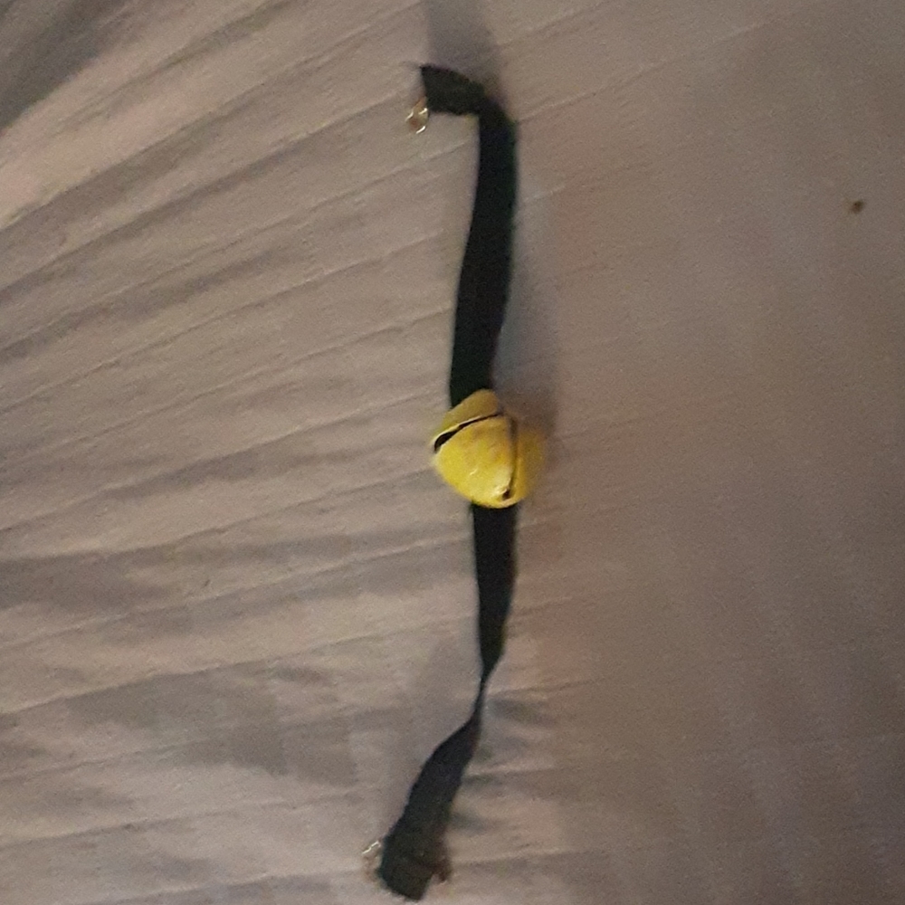 cat noir choker cat bell choker